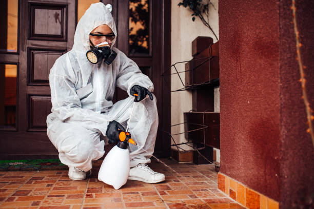 Reliable Bed Bug Control contractor in Bermuda Run, NC by Nex Pest Control